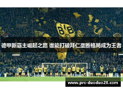 德甲新霸主崛起之路 谁能打破拜仁垄断格局成为王者