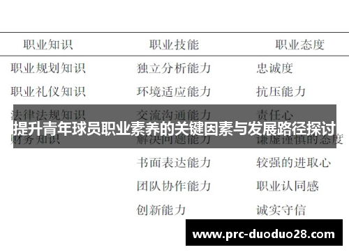 提升青年球员职业素养的关键因素与发展路径探讨