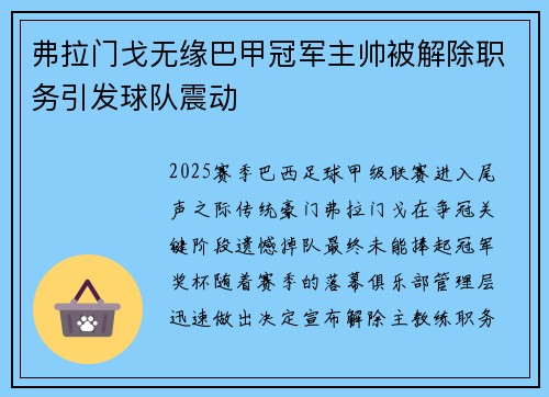 弗拉门戈无缘巴甲冠军主帅被解除职务引发球队震动 弗拉门戈无缘巴甲冠军主帅被解除职务引发球队震动