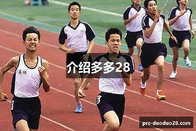 介绍多多28